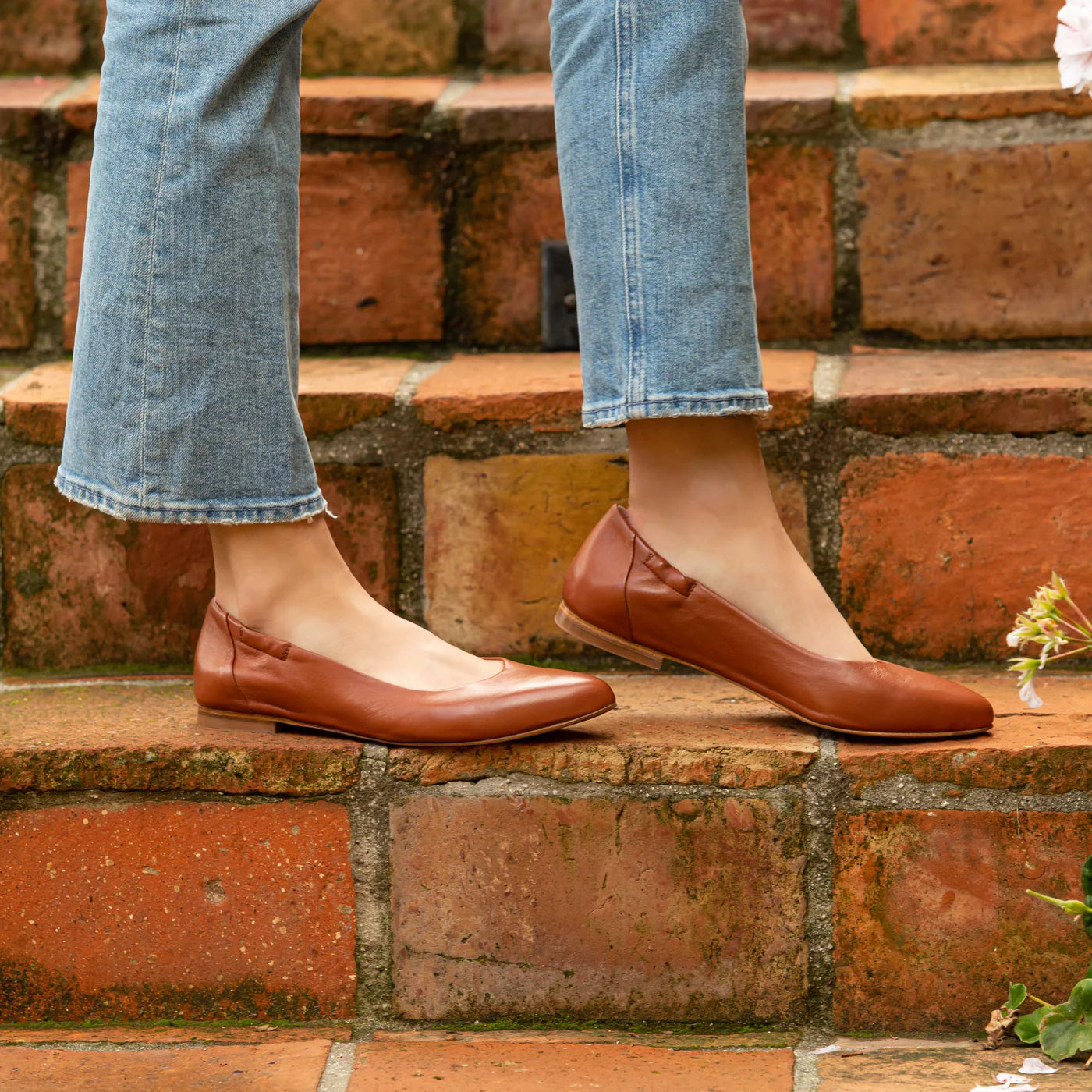 Reviews Italeau Nuova